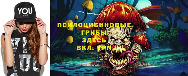 дурь Богданович