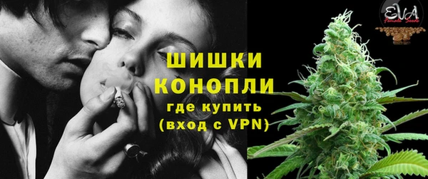 дурь Богданович