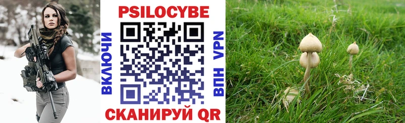 Галлюциногенные грибы MAGIC MUSHROOMS  площадка клад  Верхняя Тура  купить  цена 